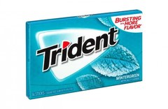 Жевательная резинка Trident Wintergreen